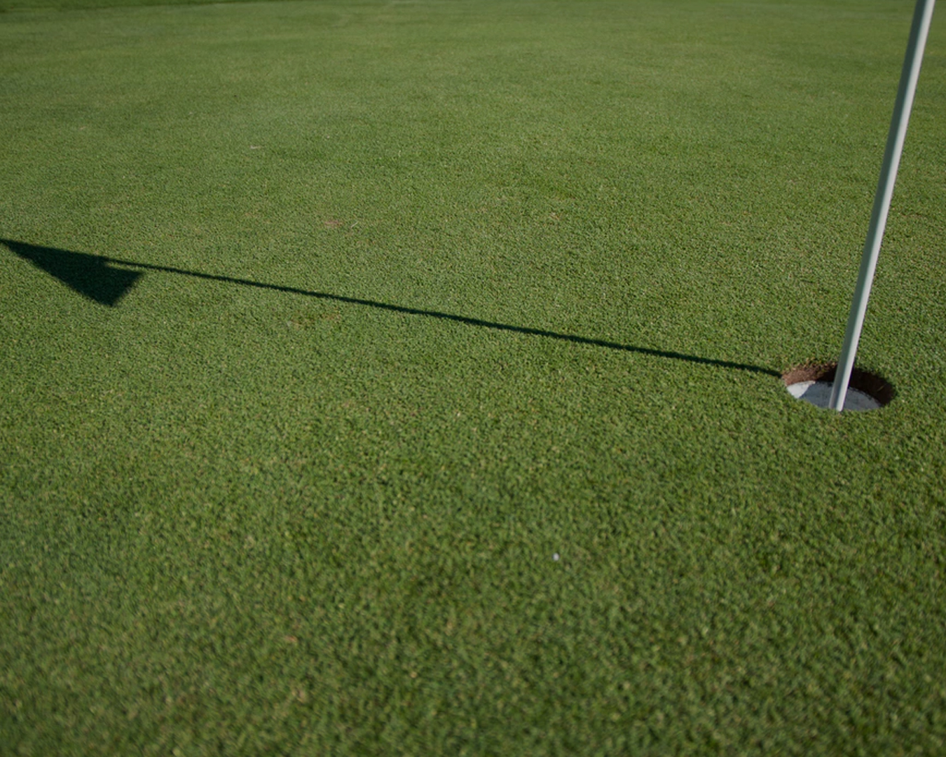 net joins the league